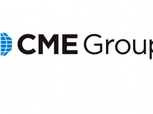 Nymex Logo - CME Group puts Nymex building up