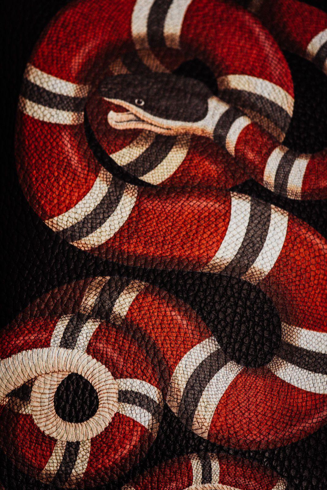 Gucci Snakes Logo - Gucci snake Logos