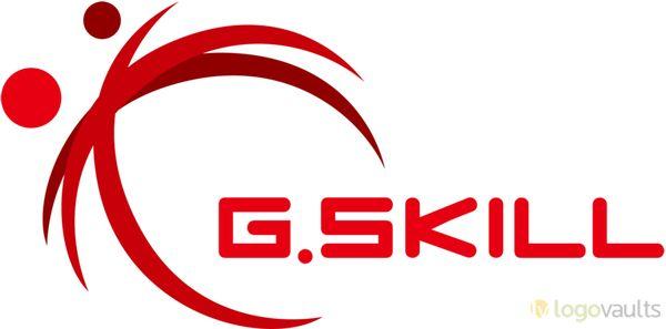 G.Skill Logo - G.Skill Logo (PNG Logo) - LogoVaults.com