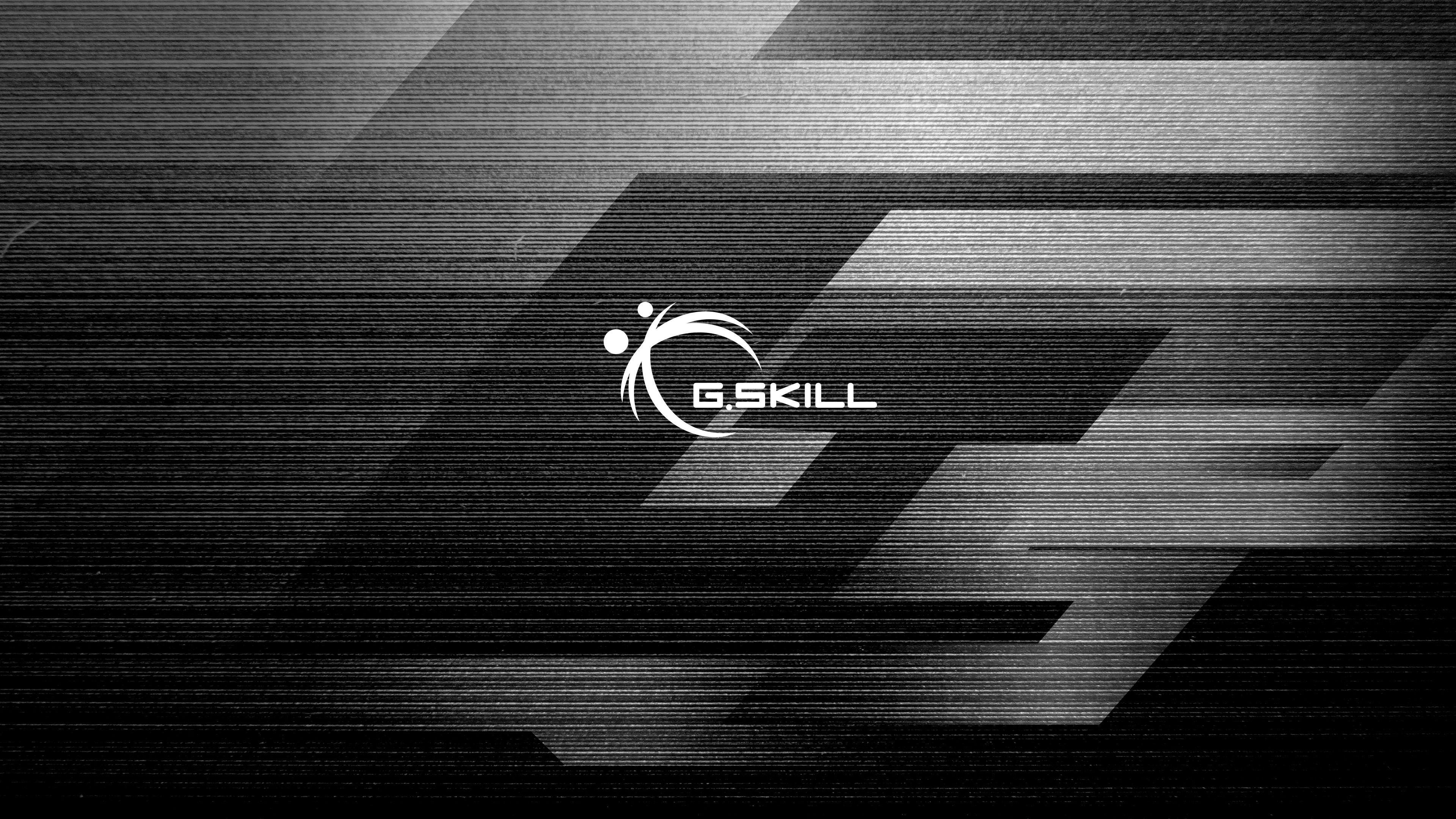 G.Skill Logo - Desktop Wallpaper