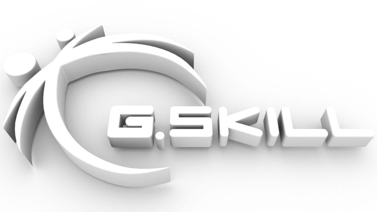 G.Skill Logo - 3Dskull Design Portfolio