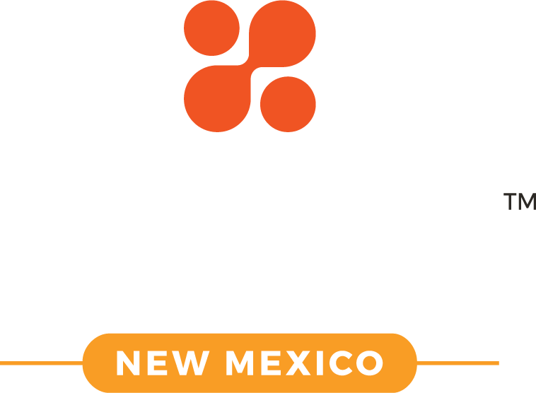 FatPipe Logo - New Mexico CoWorking