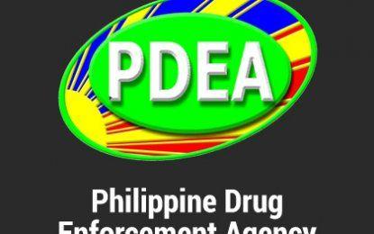 PDEA Logo - PDEA confirms drug activities in Cebu night clubs. Philippine News