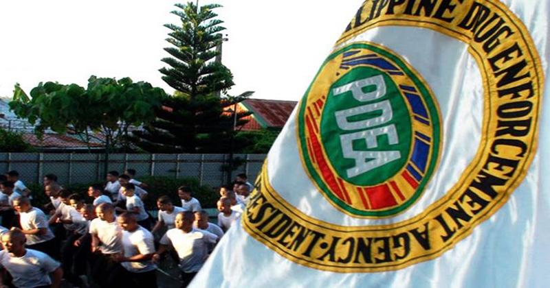 PDEA Logo - PDEA is Hiring New Agents – Metro Cebu News