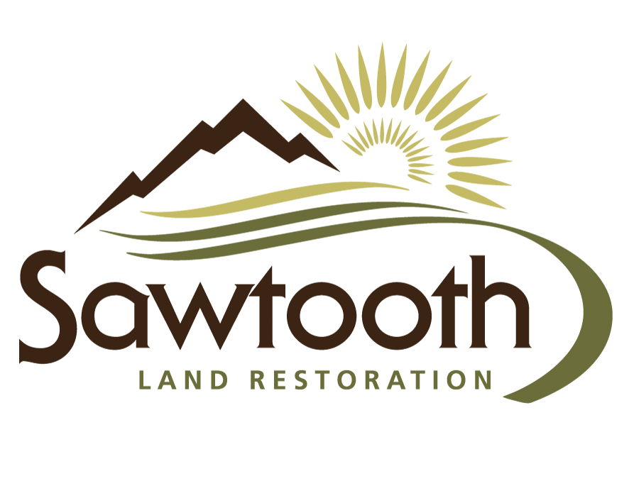 Restoration Logo - Sawtooth Land Restoration Logo – Big Red Barn Design