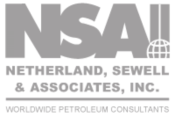 Sewell Logo - Netherland Sewell, Inc