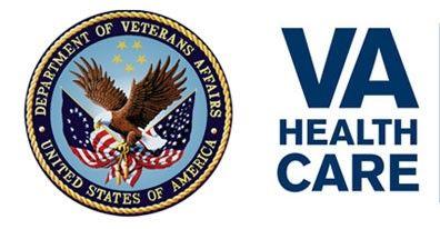 VHA Logo - Web-Ready-VHA-Excellence-logo (2) – Vet to Vet Tennessee