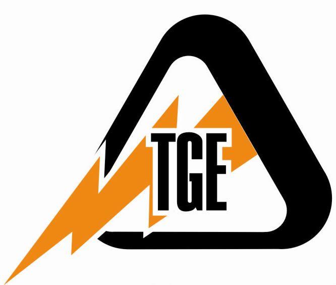 TGE Logo - Tavan Gostaran Ebtekar Co.