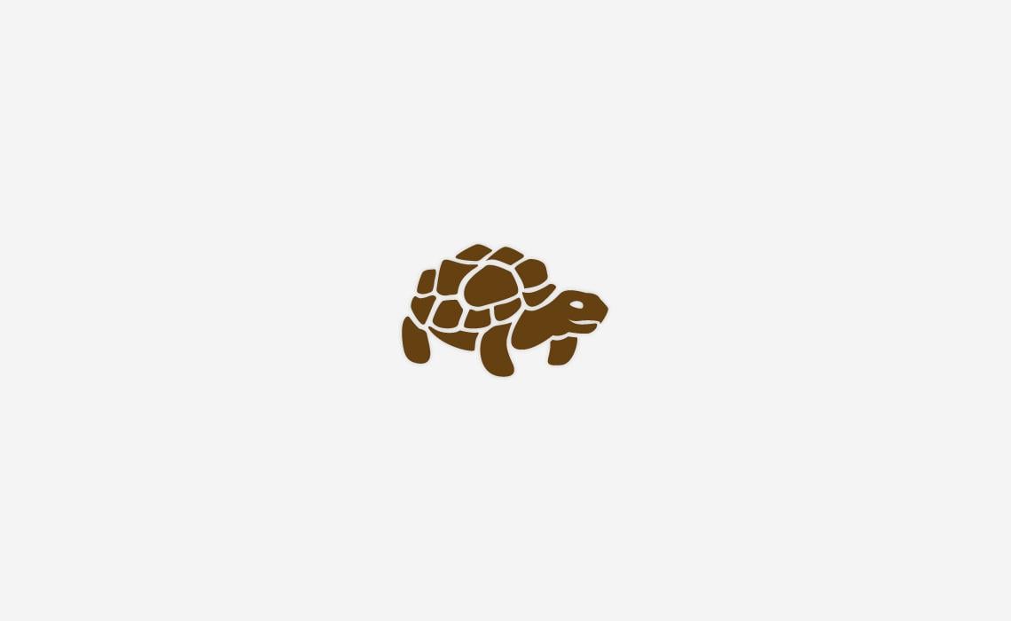 Tortoise Logo - Tortoise Icon Design by Typework Studio, a NY Design Agency
