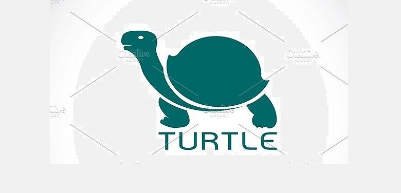 Tortoise Logo - 35 Creative tortoise logos Design Ideas | Tortoise Logos | Logos ...