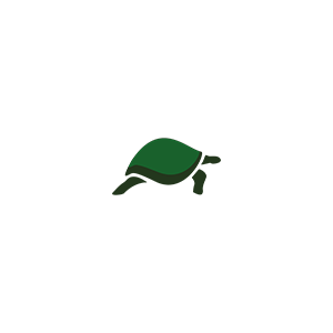 Tortoise Logo - KAROO