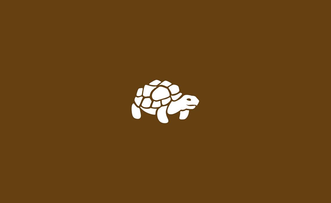 Tortoise Logo - Tortoise Icon Design by Typework Studio, a NY Design Agency