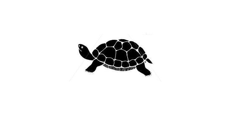 Tortoise Logo - 35 Creative tortoise logos Design Ideas | Tortoise Logos | Pinterest ...