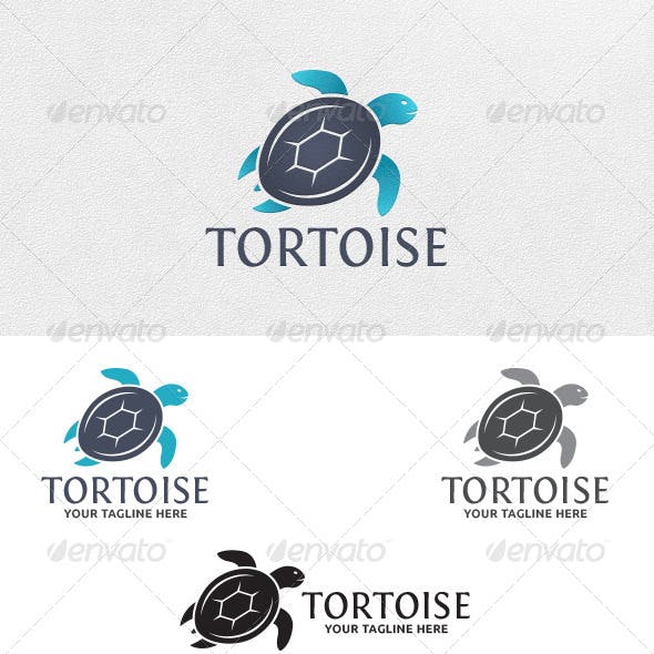 Tortoise Logo - Reef Ocean Logo Templates from GraphicRiver