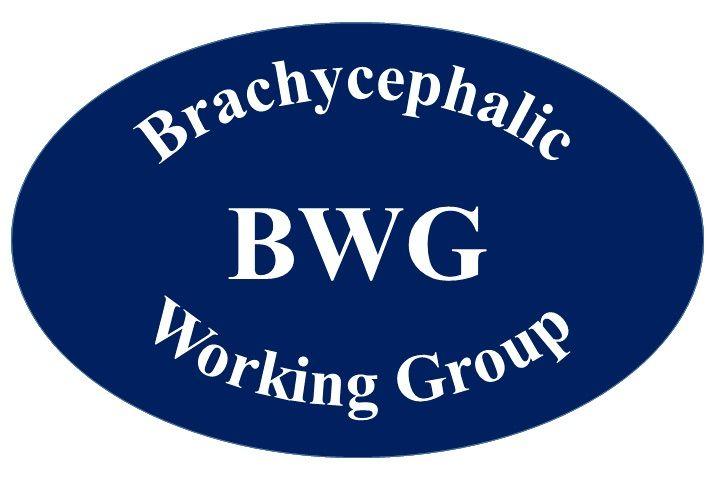 BWG Logo - BWG logo