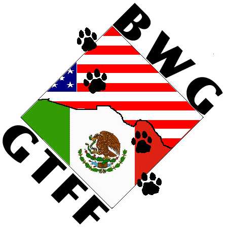 BWG Logo - Webpage.pace.edu - Mgrigione BWG Image