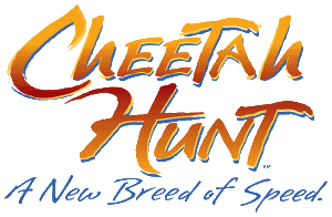 Hunt's Logo - Cheetah Hunt