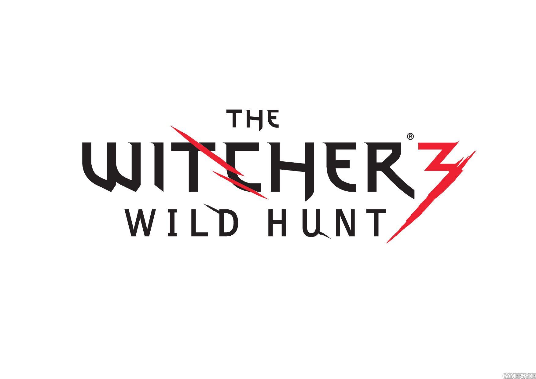 Hunt's Logo - Don't see the '3' in The Witcher 3: Wild Hunt's logo? There's a good