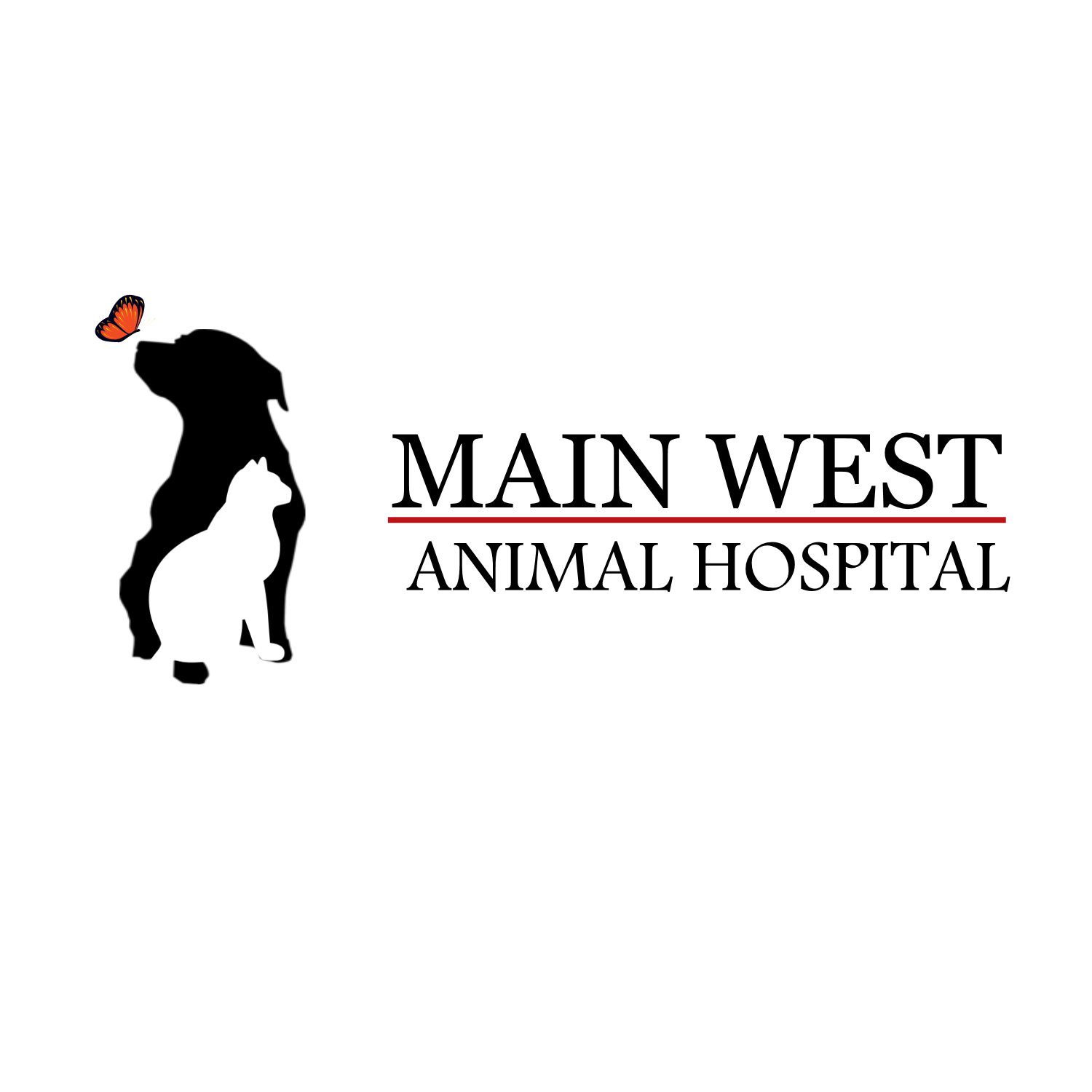 Veterinarian Logo - A Veterinarian Logo Speaks Volumes - Learn More About Veterinary Logos