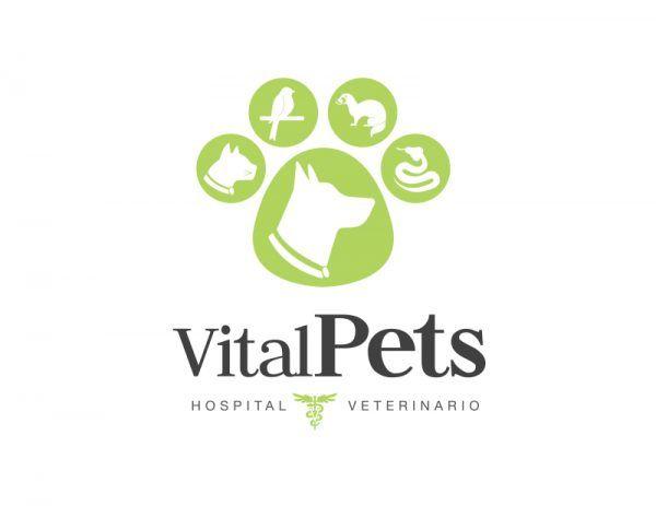 Veterinarian Logo - 22 Best Veterinarian Logo Designs For Inspiration