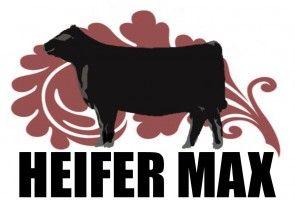 Heifer Logo - HEIFER MAX DEVELOPER PELLET W/ AVAILA | Ranch-Way Feeds