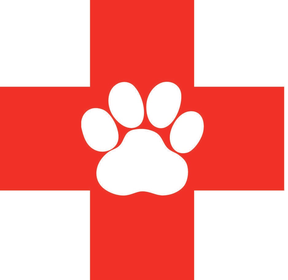 Veterinarian Logo - Free Veterinary Symbol Cliparts, Download Free Clip Art, Free Clip ...
