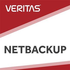 NetBackup Logo - پک کامل نرم افزار VERITAS NETBACKUP 8.1.1 – vCloudtip