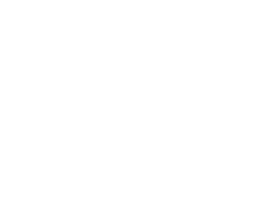 Soldiers Logo - Shelter to Soldier™ - Saving Lives, Two at a Time™