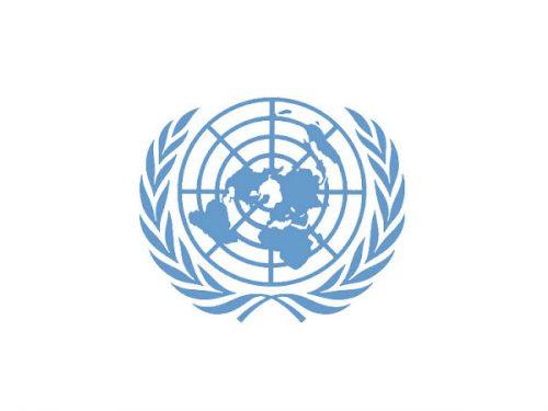 Unmiss Logo - Supply and Delivery of Solar Power Accessories to UNMISS - IHRPP