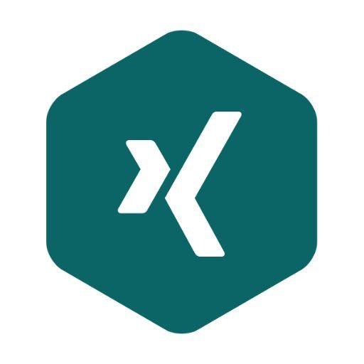 Xing.com Logo - XING Engineering