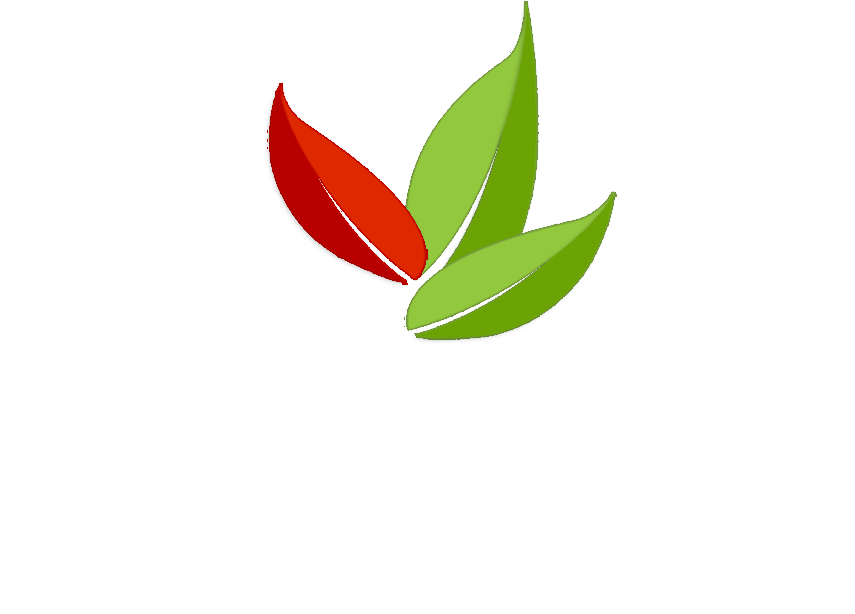 Peru Logo - Peru Travel Guide. Peru Travel Information