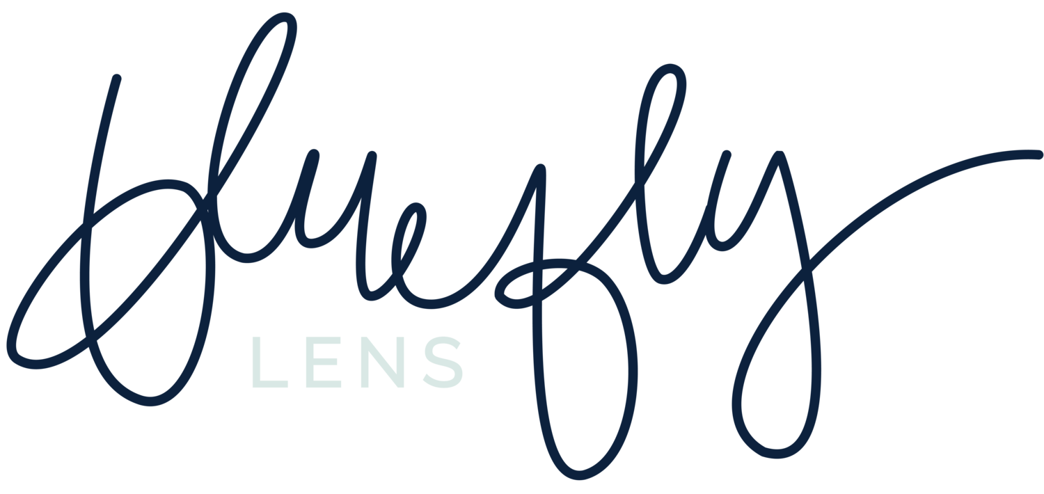 BLUEFLY Logo - HOME — Bluefly Lens