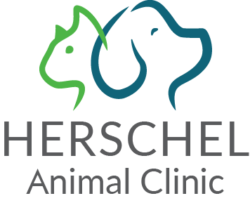 Herschel Logo - Herschel Animal Clinic - Unleash Jacksonville