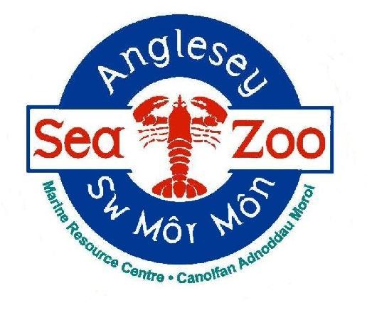 Mor Logo - Our logo featuring Seamor the Lobster - Picture of Anglesey Sea Zoo ...