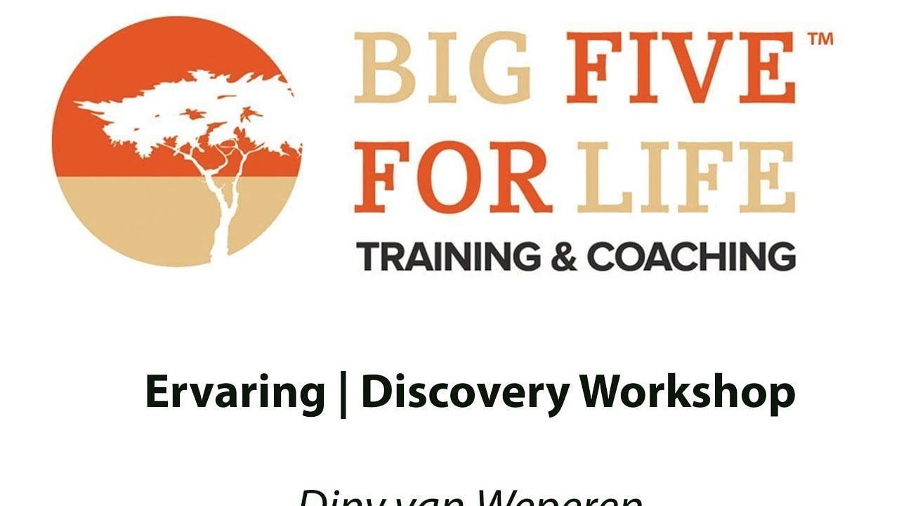 Diny Logo - Diny van Weperen over haar ervaringen met de Discovery Workshop