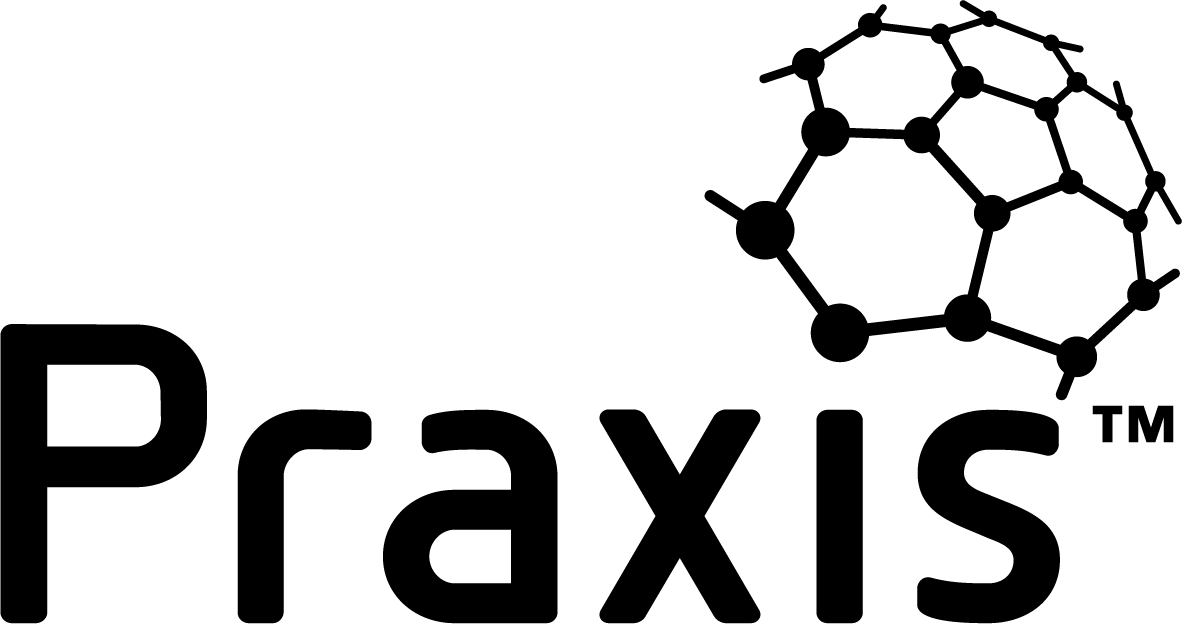 Praxis Logo - Introducing the Praxis Framework™