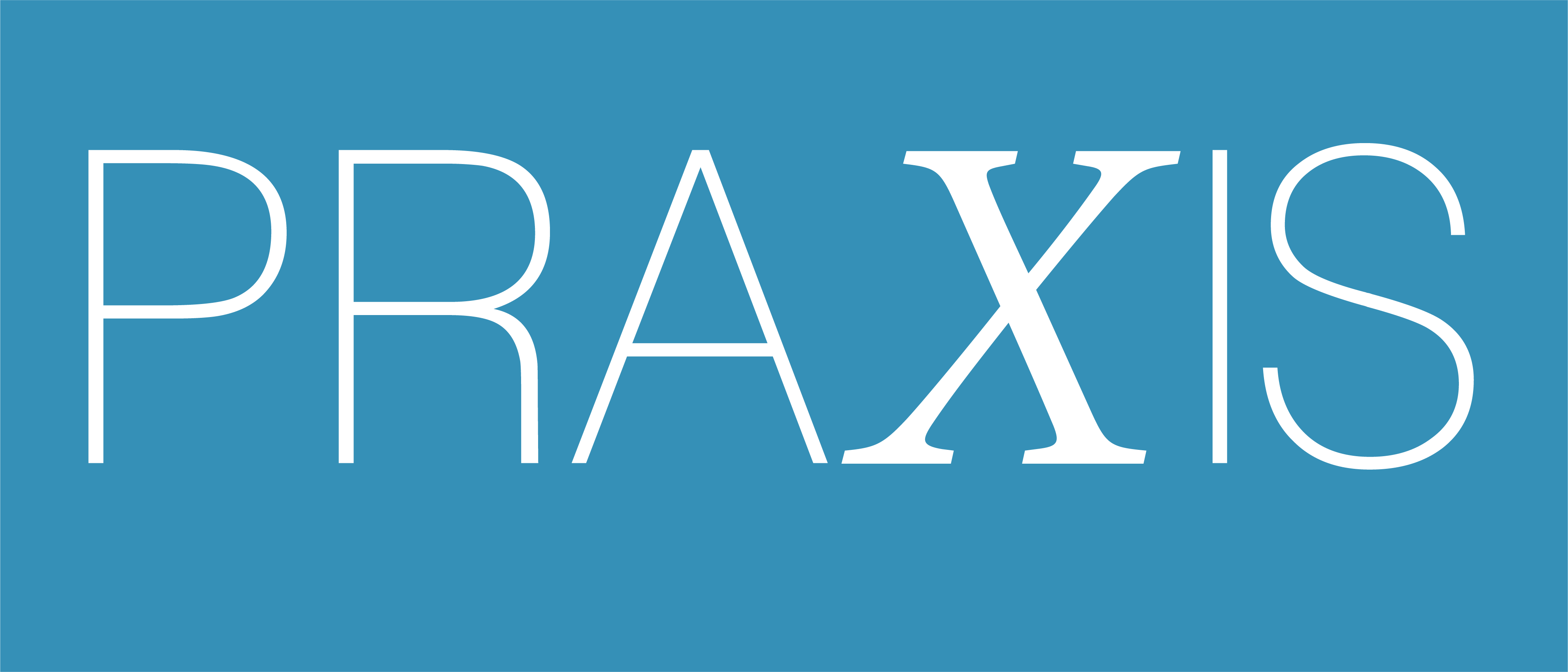 Praxis Logo - Terms of use