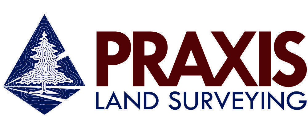 Praxis Logo - Contact Us