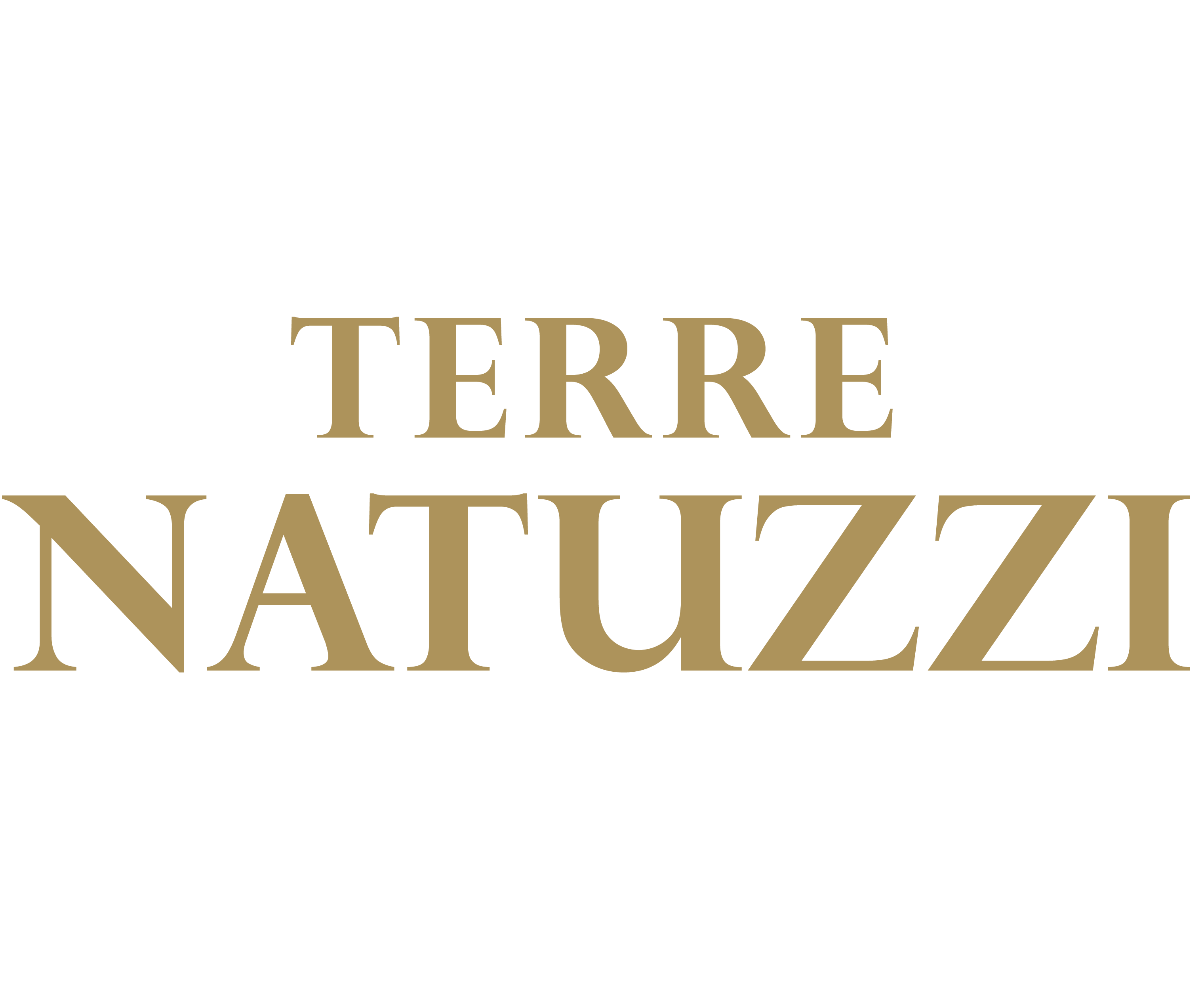 Natuzzi Logo - Natuzzi Logo | www.topsimages.com