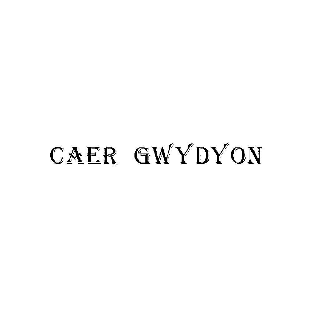 Caer Logo - Caer Gwydyonband Logo Vinyl Decal