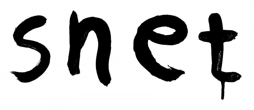 Snet Logo - Non matching tiles – SNET » Ernesto Oroza