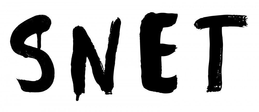 Snet Logo - Non matching tiles – SNET » Ernesto Oroza