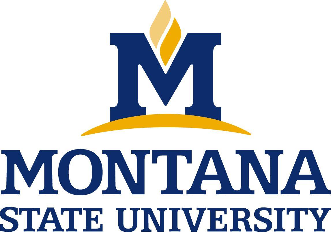 Universty Logo - Montana State University Logo Download Page Services