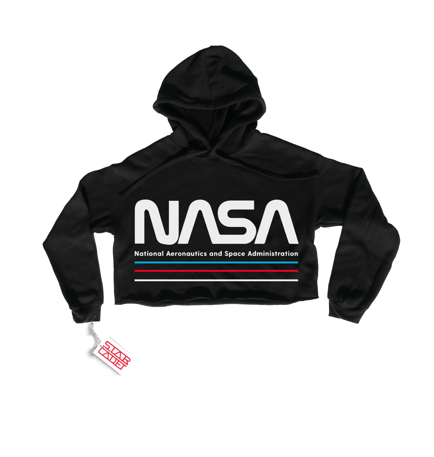 Worm Logo - NASA WORM LOGO CROPPED HOODIE