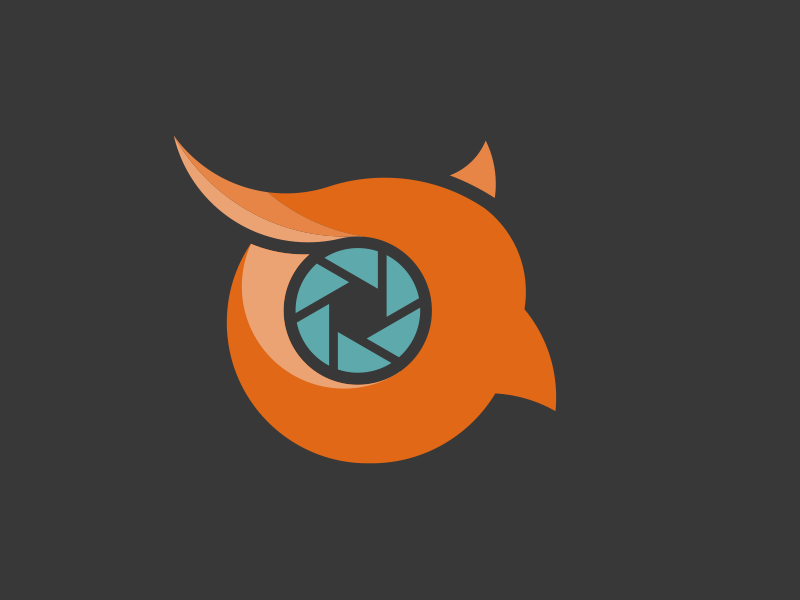 Hephaestus Logo - Hephaestus' Owl by Brandon DeLauney | Dribbble | Dribbble