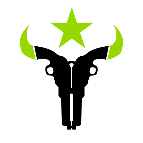 Hou Logo - Team HOU (Houston Outlaws) Overwatch, roster, matches, statistics