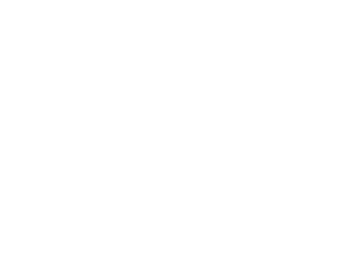 Fujikura Logo - Custom Products - IER Fujikura