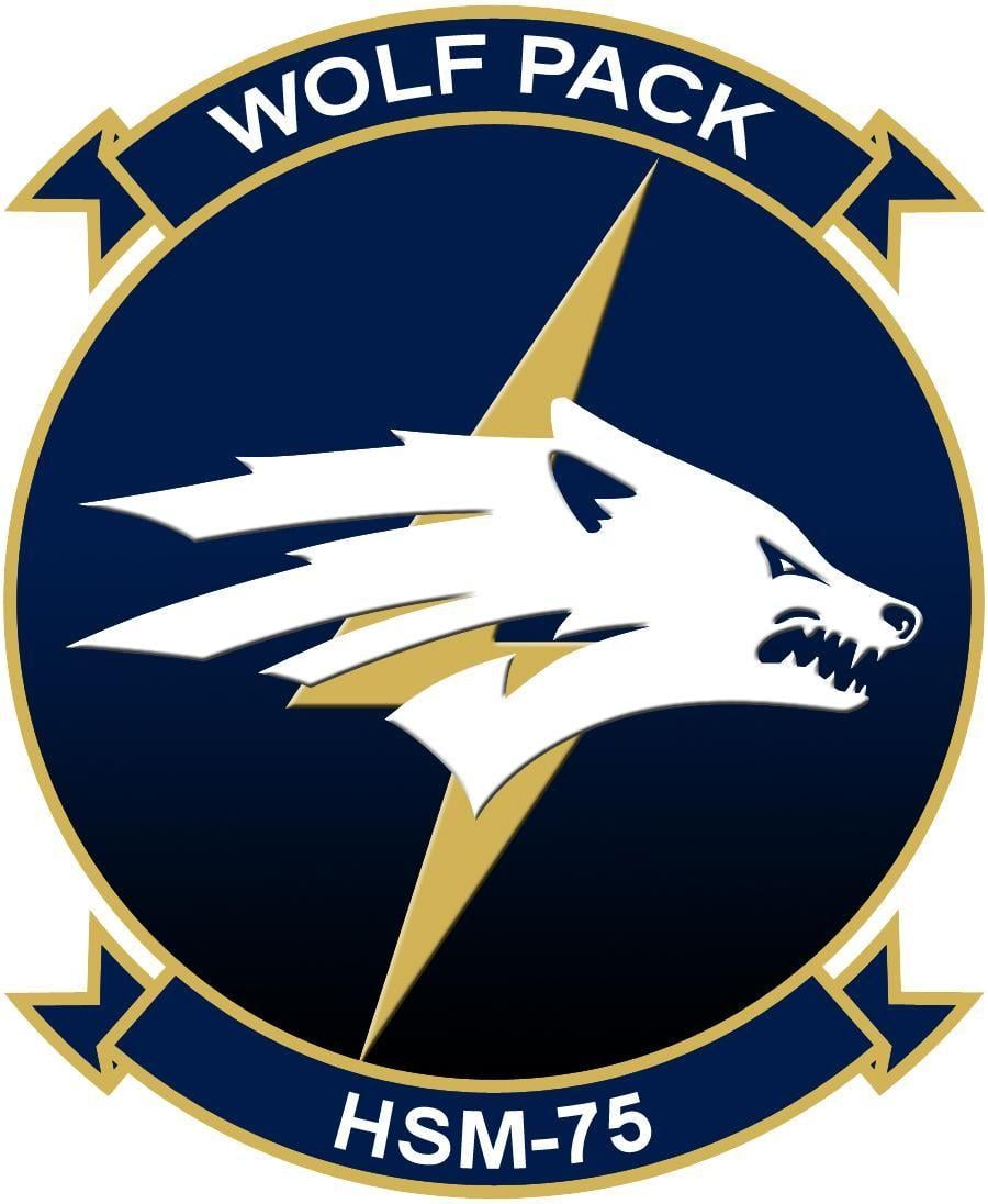 Squadron Logo