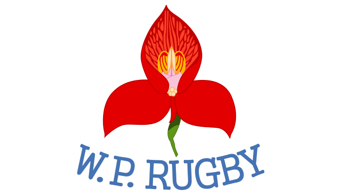 WP Logo - WP Rugby confident of meeting stadium safety requirements | 15.co.za ...