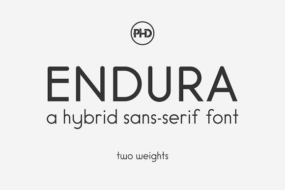 Endura Logo - Endura Font Fonts Creative Market